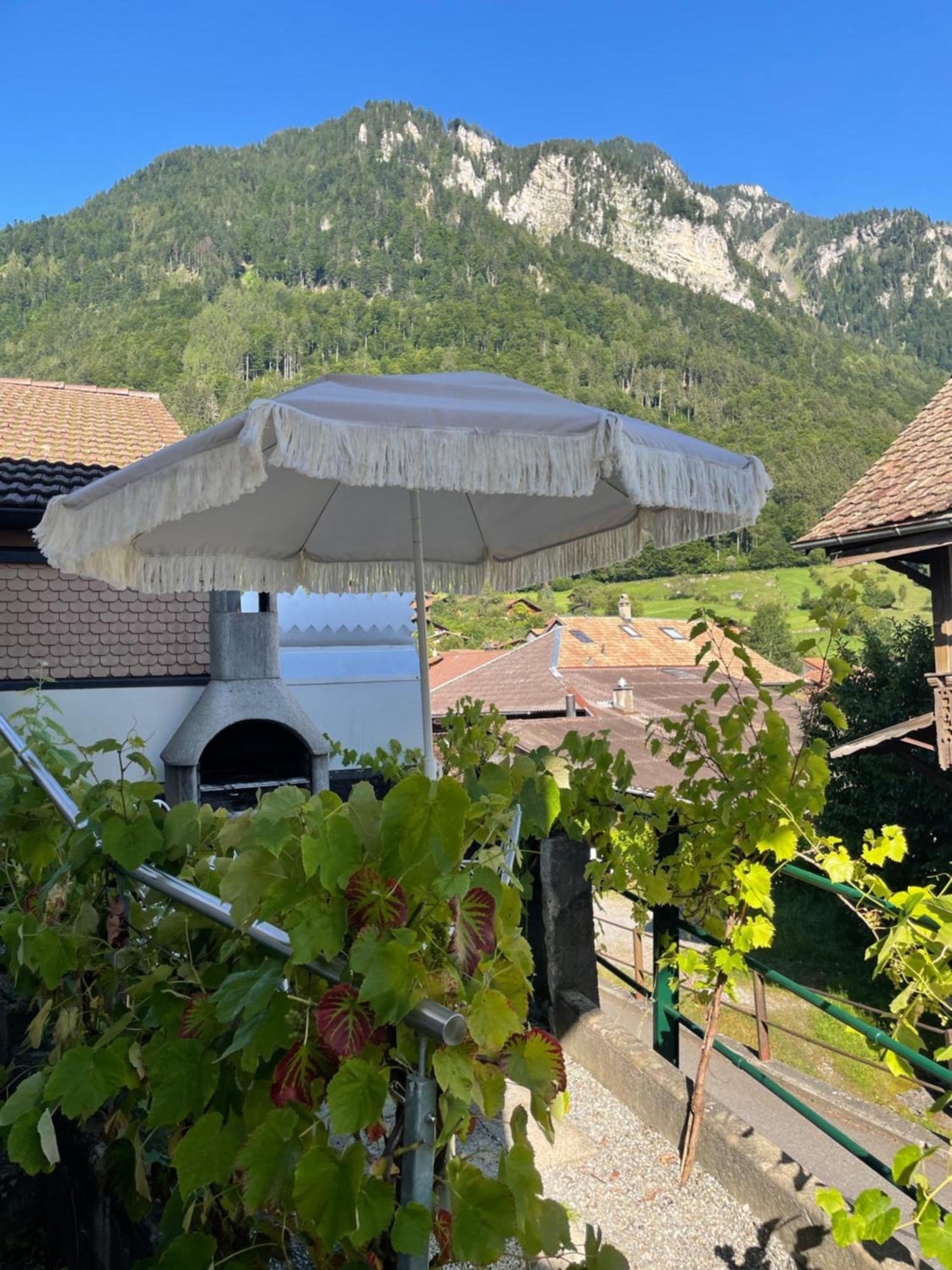 Studio In Alps By Apartments Capricorn Gsteigwiler Exteriér fotografie